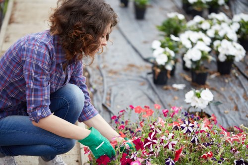 Garden landscaping team preparing an outdoor project site
