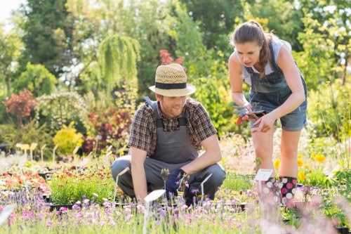 Accessible landscaping information for Anerley users