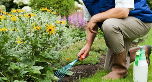 Garden design and build planning for an Anerley home with patio and planting layout