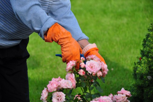 Transparent landscaping pricing and free quote concept for Anerley