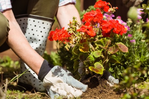 Final complaint resolution for landscaping service