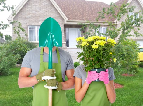 Professional garden clearance and makeover service for a property in Anerley