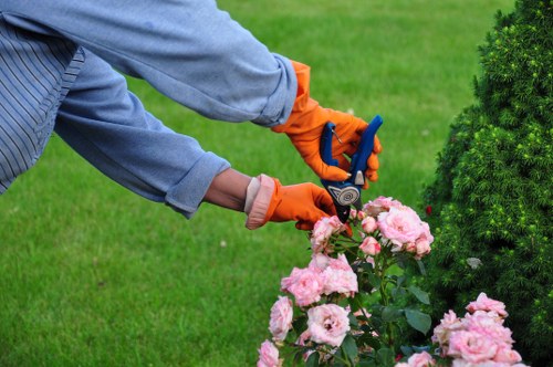 Local landscaping team preparing a garden makeover in Anerley with access challenges