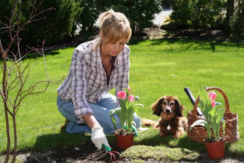 Supplier audit and due diligence in a landscaping supply chain